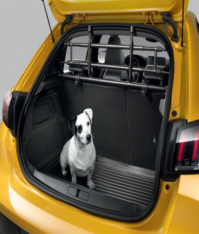 Hatchback dog guard deals
